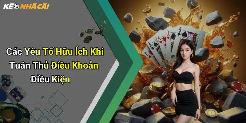 Các Yếu Tố Hữu Ích Khi Tuân Thủ Điều Khoản Điều Kiện