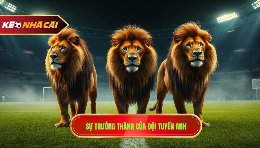 3. Sự trưởng thành của đội tuyển Anh